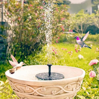 Solar-Powered Water Fountain