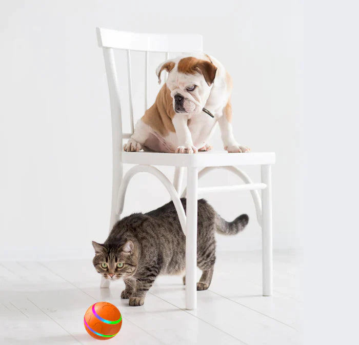 PET WICKED BALL™ -  Promote & Enhance Pet interaction