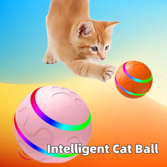 PET WICKED BALL™ -  Promote & Enhance Pet interaction